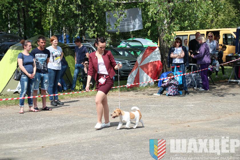 00vystavka_22.jpg