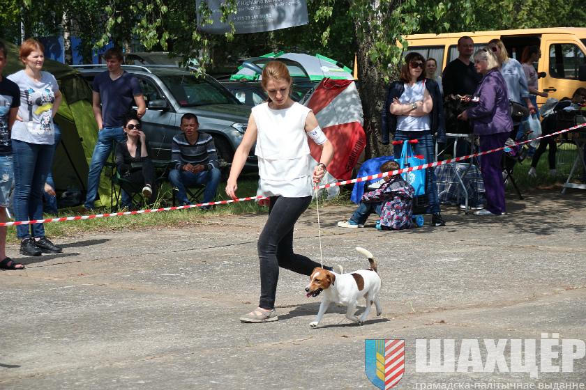 00vystavka_23.jpg