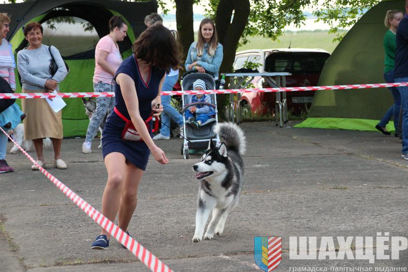 00vystavka_39.jpg
