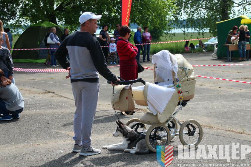 00vystavka_4.jpg