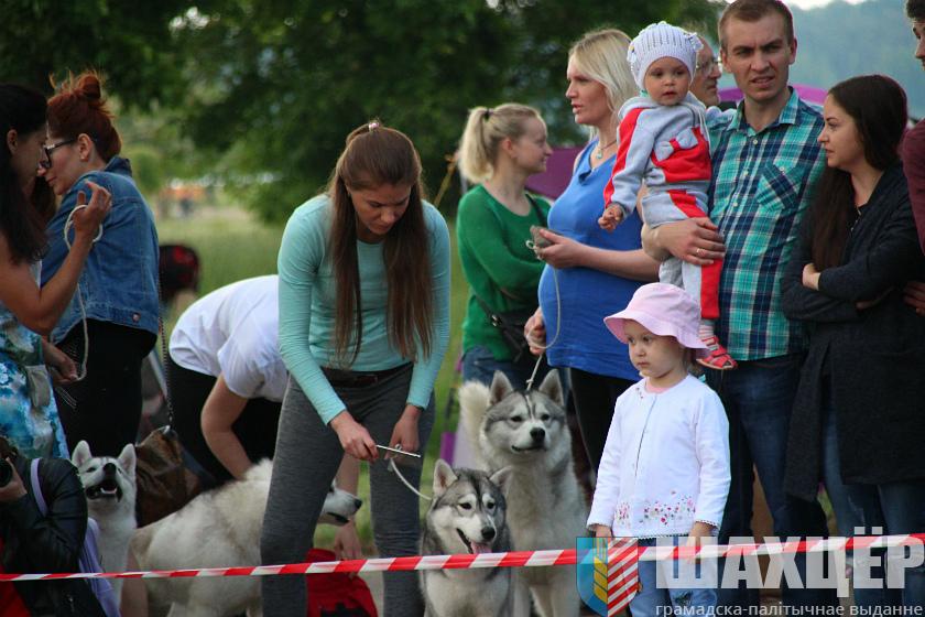 00vystavka_41.jpg