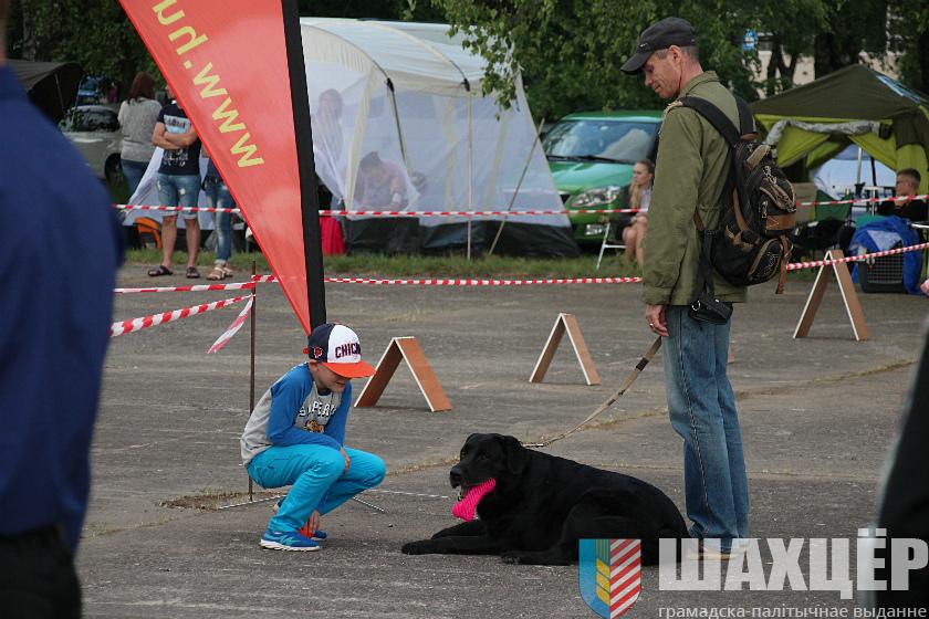 00vystavka_44.jpg
