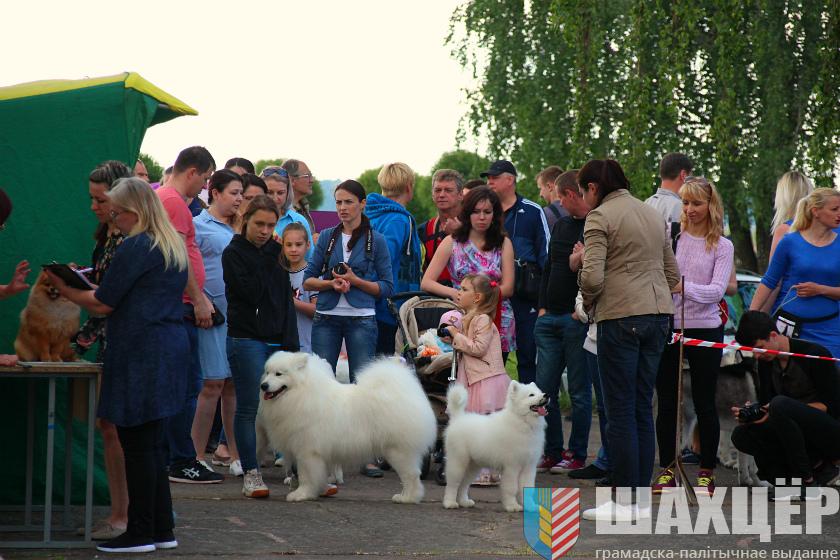 00vystavka_45.jpg
