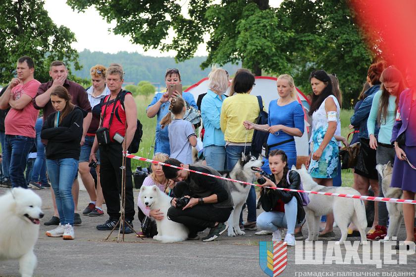 00vystavka_53.jpg