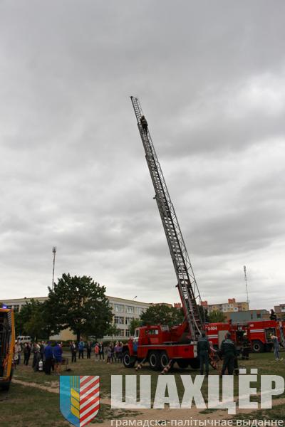 img_9981_0.jpg